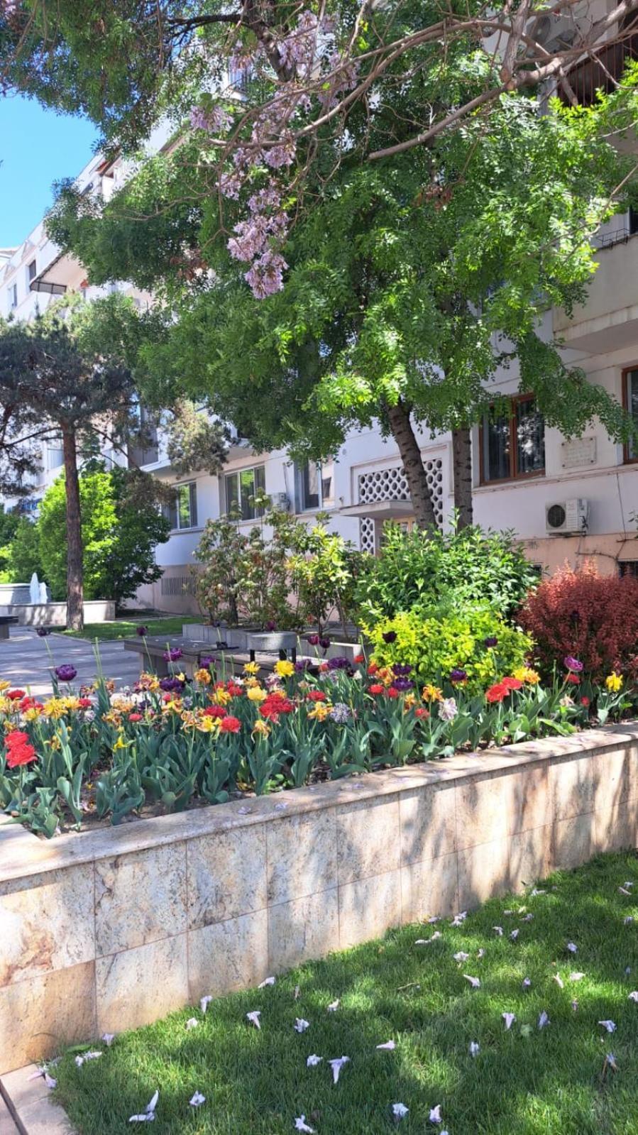 Apartament Kitty Centrul Istoric Craiova Exteriér fotografie